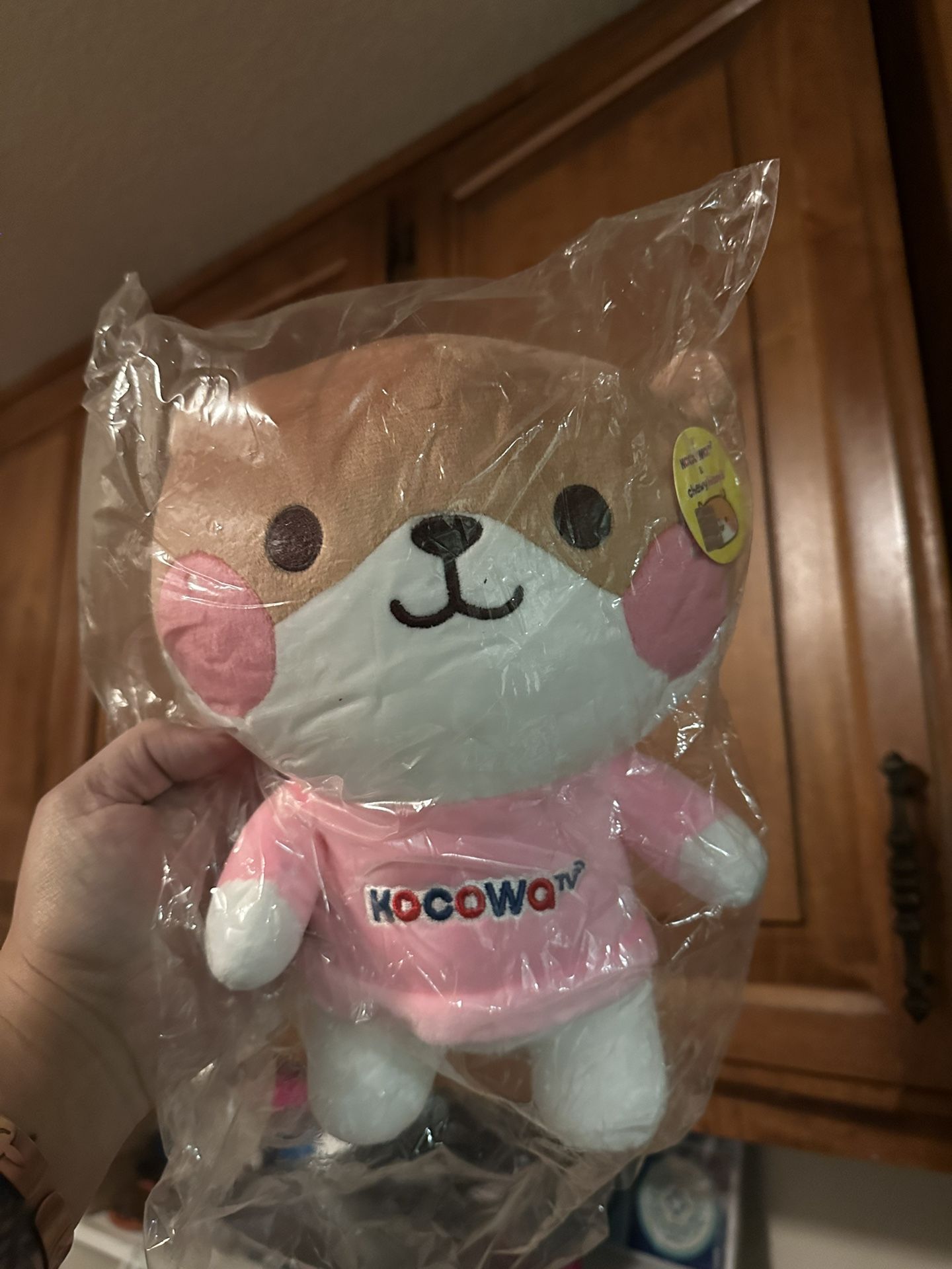 Chweyhams Kokowa Tv Plush