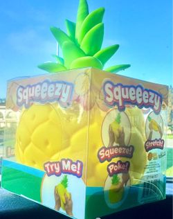 Pineapple squeezy squishy nee doh￼