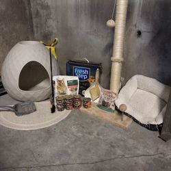 Cat Supplies! 