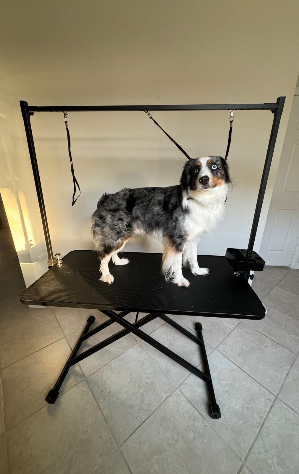 ROOMTEC 47 Inch Dog Grooming Table