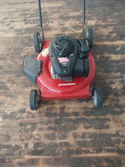 Murray Lawnmower