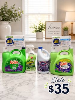 Gain, All, OdoBan, and Clorox Laundry Bundle