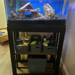 Fish tank - Full Setup!