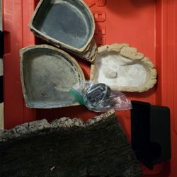 Reptile Decor