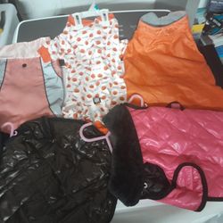 Small To Large Pet Clothes Like New