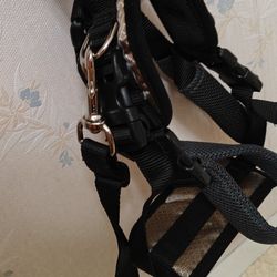 PetSafe Dog Head  Harness