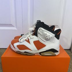 Jordan 7 Gatorade