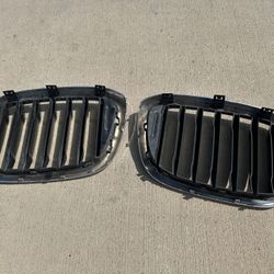 Genuine BMW F15 X5 Front Silver Kidney Grill M Performance 