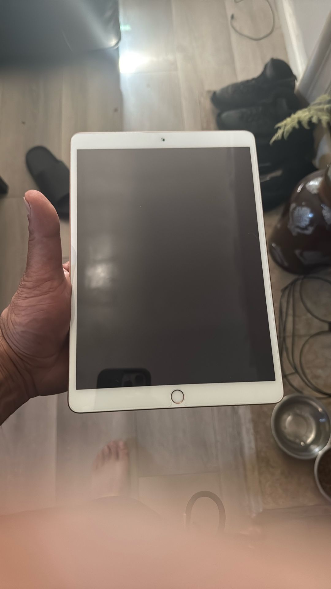 iPad Air+cell 256 Gig