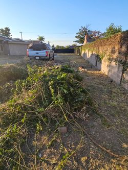 Clean ups