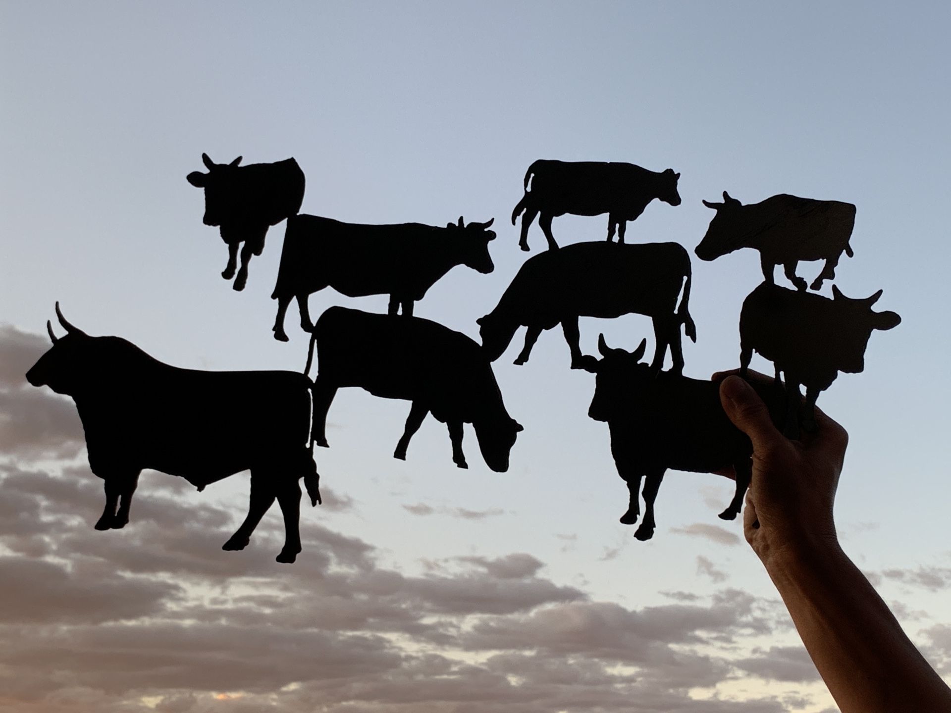 Steel Silhouettes. Bull or Cow herd $1 inch long