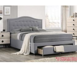 Modern Queen Size Platform Bed with Storage Drawer. Mattress Sold Separately 