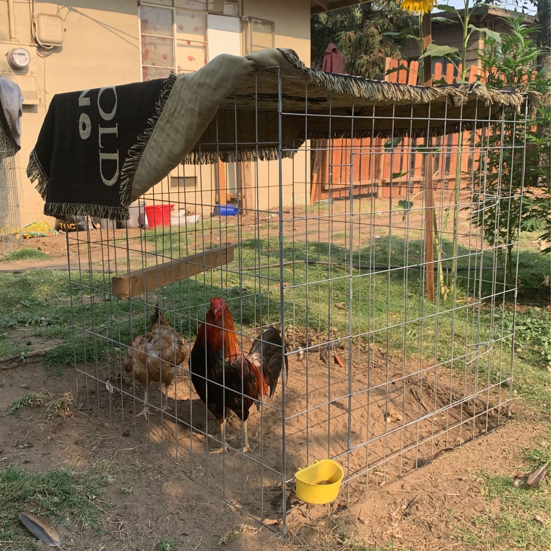 Cages For Sale Rooster For Sale