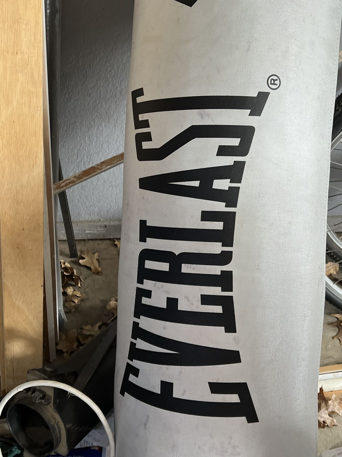 Everlast Punching Bag