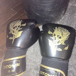 Boxing Gloves And Bag Everlast
