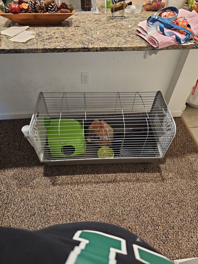 Guinea Pig Cage