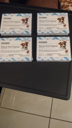 For Dogs 
