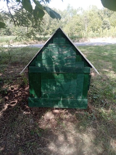 DOG HOUSE