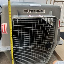  Big Dog Kennel 