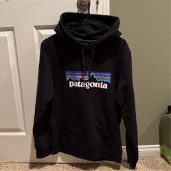 Patagonia Hoodie 