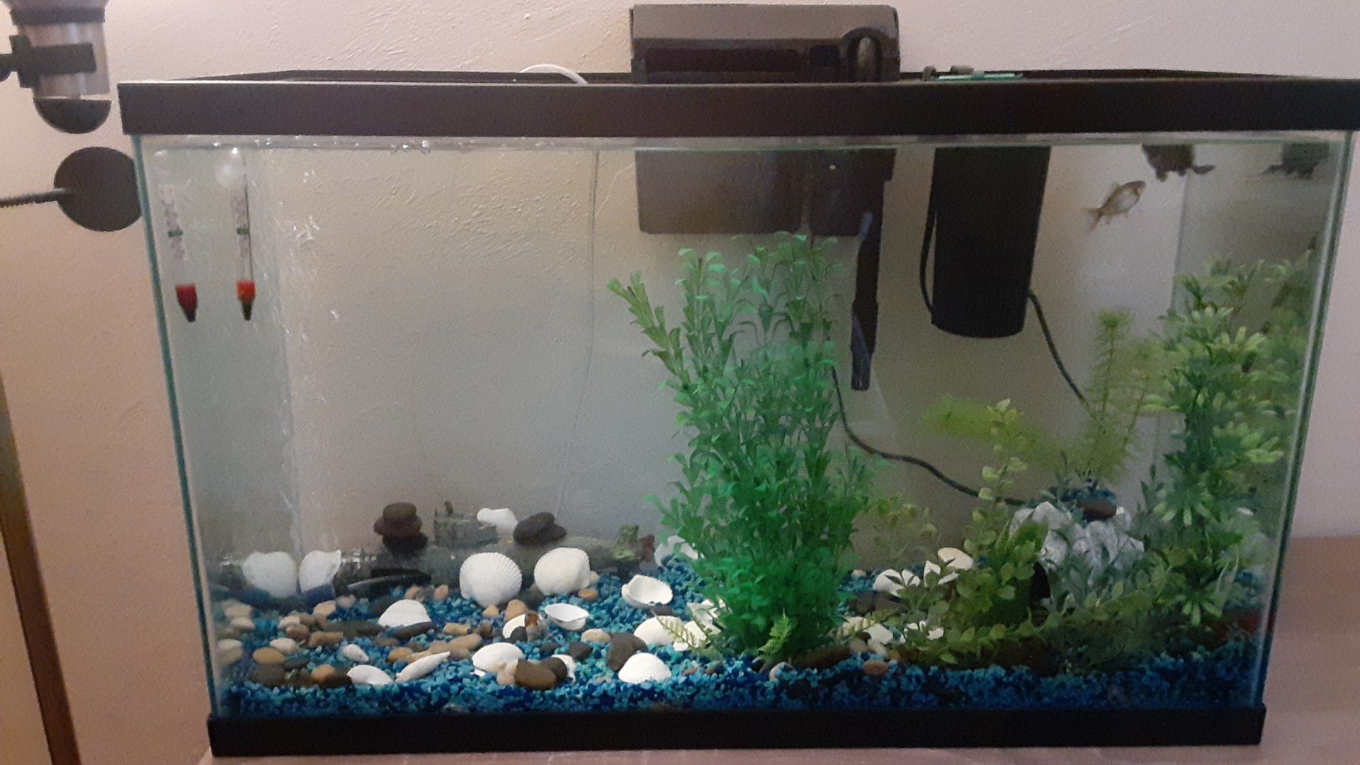 30 gallon fish take with everything