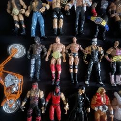 WWE Figs OLD/NEW School 