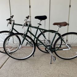 Brilliant Bicycle -Belt Driven (Set Of Two)