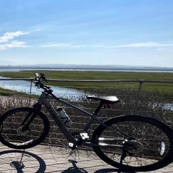 Trek Dual Sport+ 2