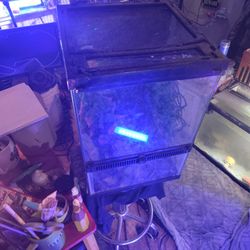Small Enclosure For Reptiles