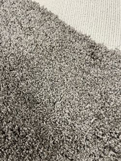 Brand, New Carpet, Color, Bayside