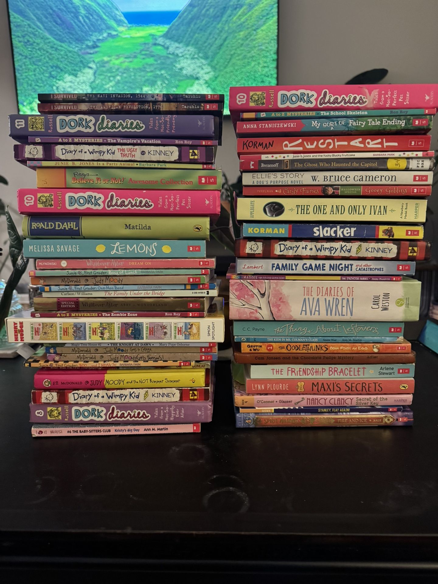55+ Early Reader Books