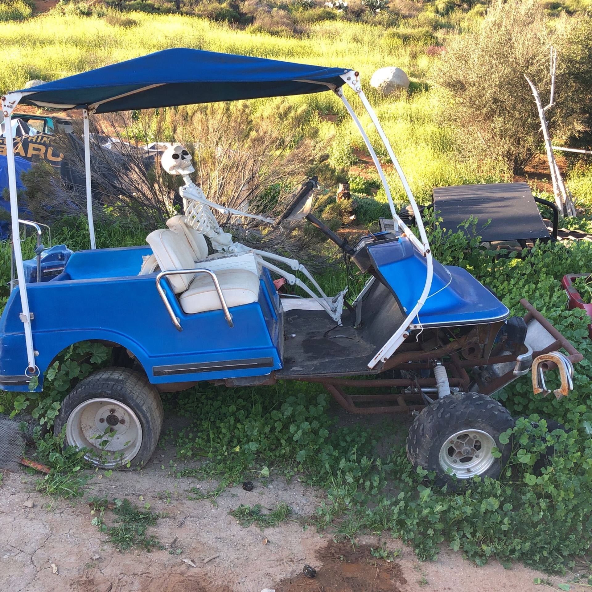Harley Davidson Golf Cart