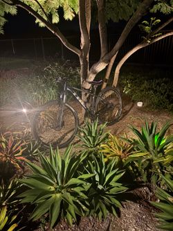 Trek Marlin 7