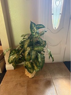 Artificial plant