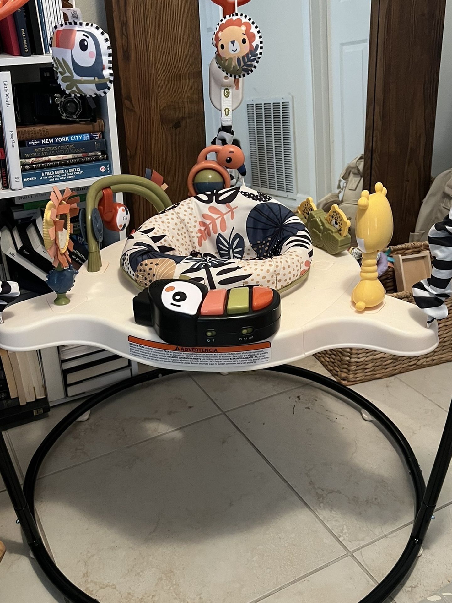 Fisher price Baby Bouncer