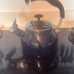 Tea Kettle Barely Used 