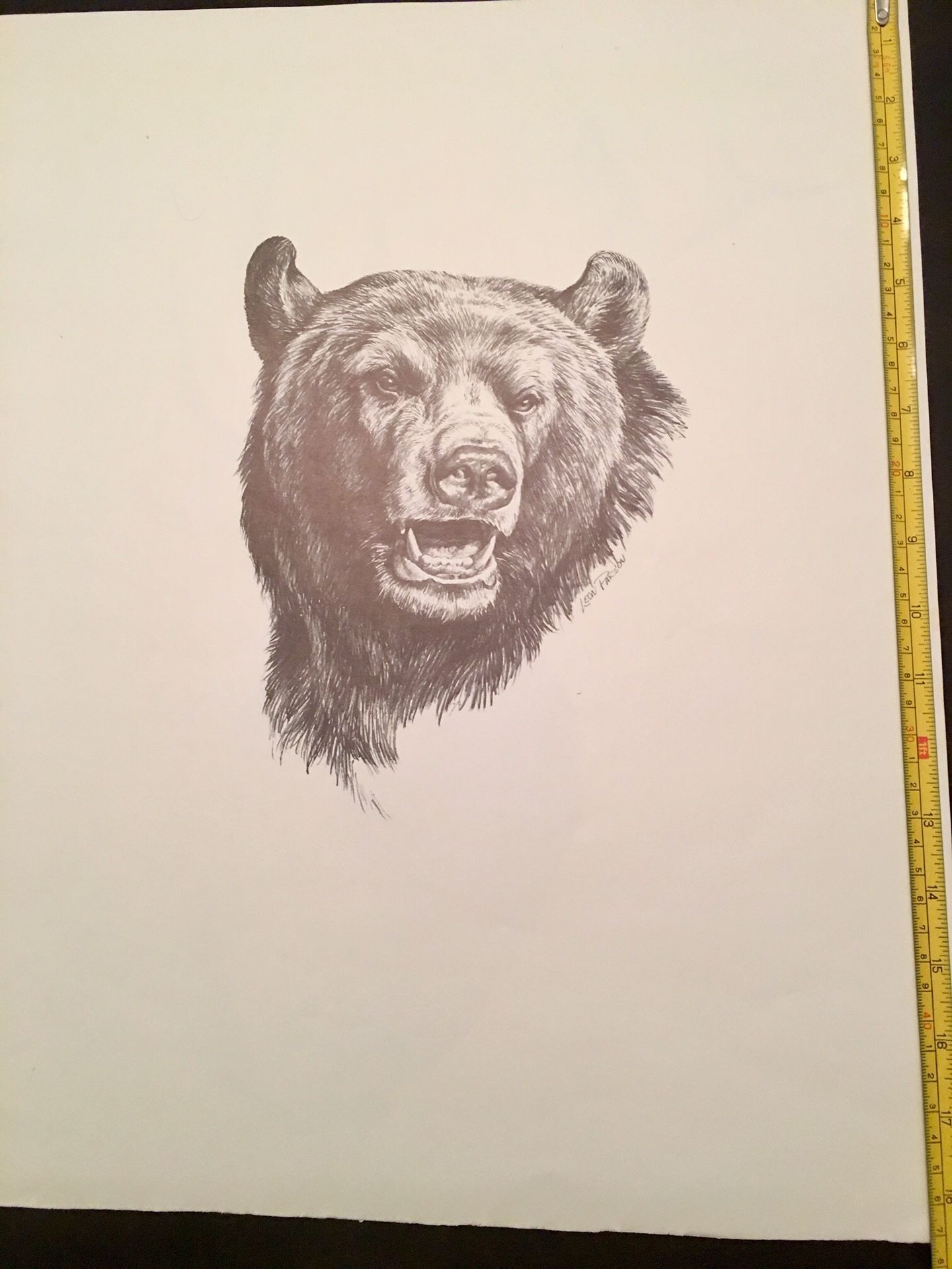 6 PRINTS-Leon Parson wildlife prints