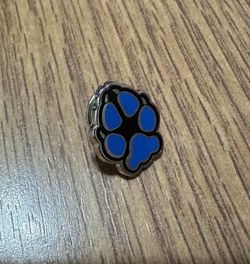  CSUSB Pin