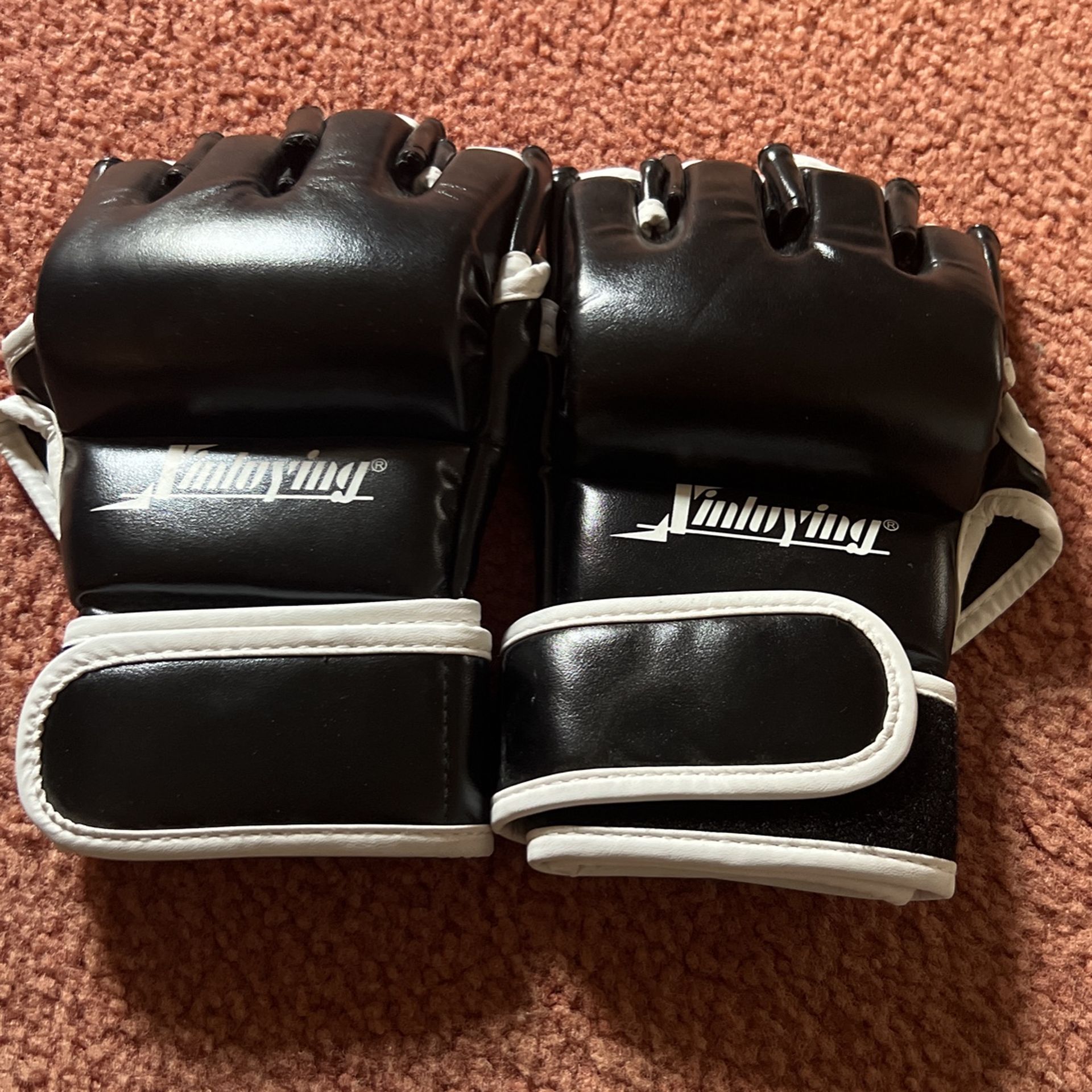 Sparring Gloves