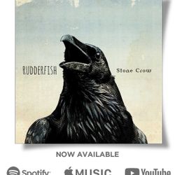 New Album 