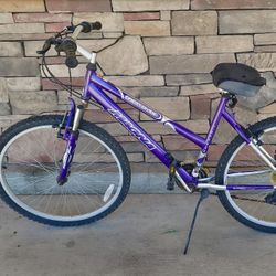 26” Mountain Bicycle (works great!)