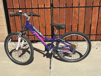 Schwinn Kids Mountain Bike Purple Pink
