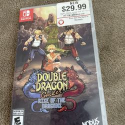 Double Dragon Nintendo Switch