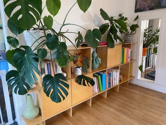 Contemporary Custom Modular Shelves and Cabinet