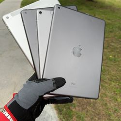 iPads 5 / 6 / 8 / Pro