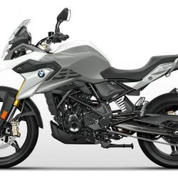 2021 BMW G 310GS