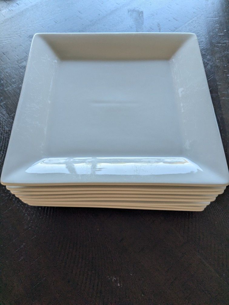 Crate & Barrel Porcelain Dinner Plates