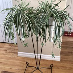 Heavy Duty Plant Stand