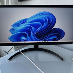 LG UltraWide 26” Monitor