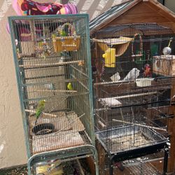 parakeet toys , cage, 